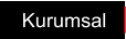 Kurumsal