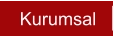 Kurumsal