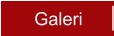 Galeri